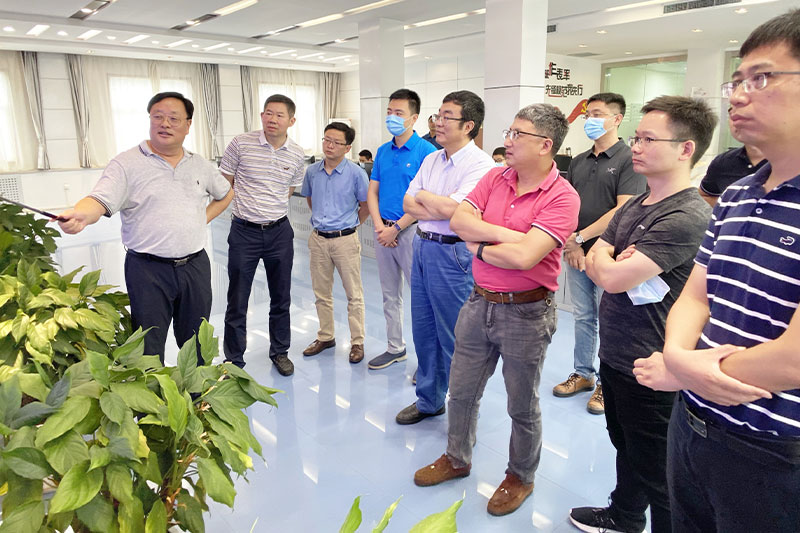 1596246704613581slgV.jpg 1.jpg